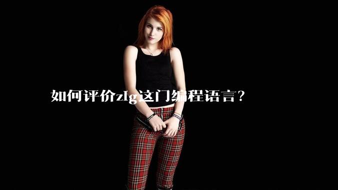 如何评价zig这门编程语言？