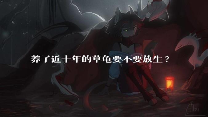 养了近十年的草龟要不要放生?