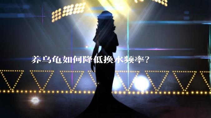 养乌龟如何降低换水频率？